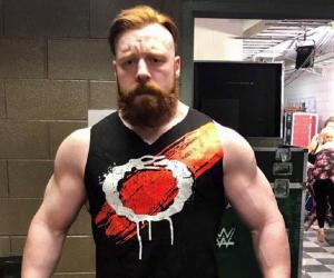 Sheamus Birthday, Height and zodiac sign