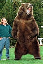 Bart the Bear Birthday, Height and zodiac sign